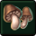 quest 1573a