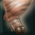 quest 22801a
