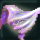 quest 3966a