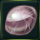 quest 1351a